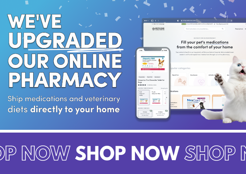Carousel Slide 1: Shop our Online Pharmacy